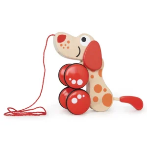 Pepe Pull Along Toy