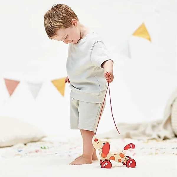 Pepe Pull Along Toy